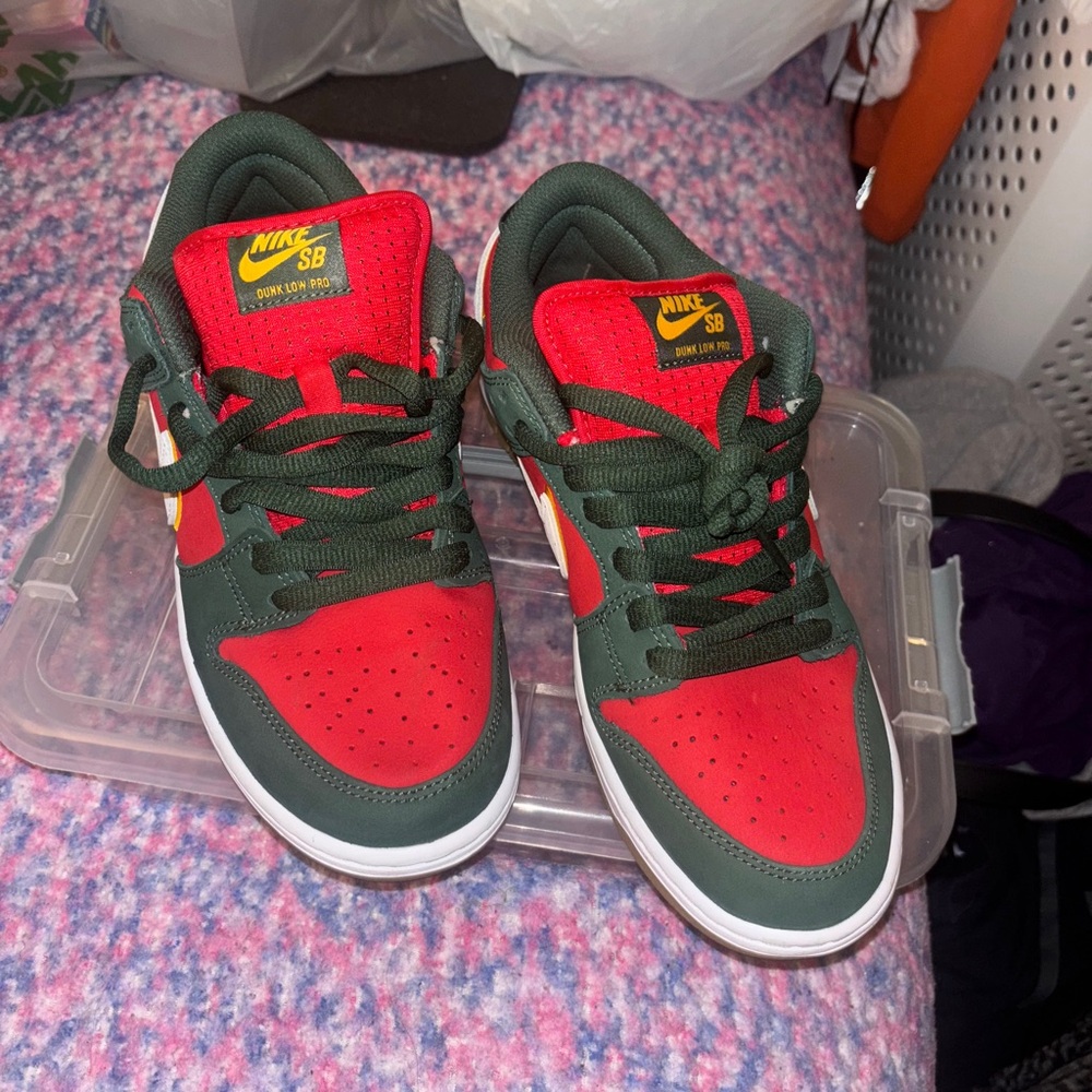 Nike SB Red and Dark Green Sneakers